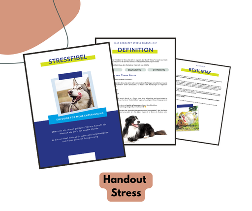 Hundeschulhandout: Stress