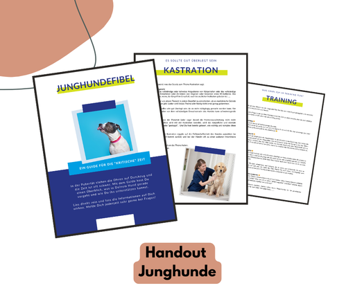 Hundeschulhandout: Junghunde