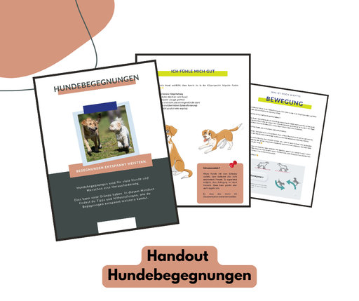 Hundeschulhandout: Hundebegegnungen