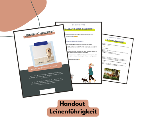 Hundeschulhandout: Leinenführigkeit