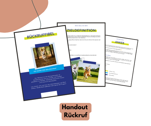 Hundeschulhandout: Rückruf
