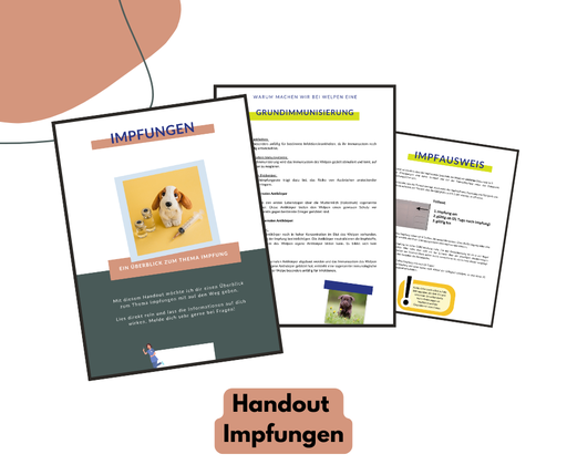 Hundeschulhandout: Impfungen